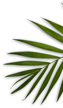 Platinumhairandnails